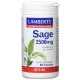 LAMBERTS Salvia 2500mg, 90 comprimidos.