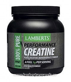 LAMBERTS Creatina em Pó, 500g