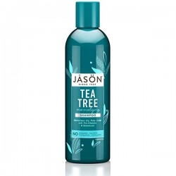 Jason Tea Tree Shampoo 517 ml