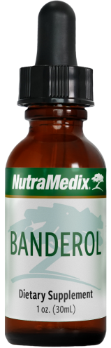 NutraMedix Banderol, 30 ml