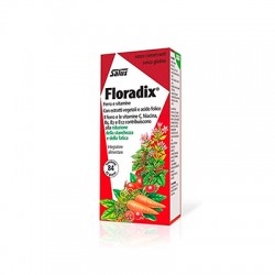 Floradix 84 comprimidos