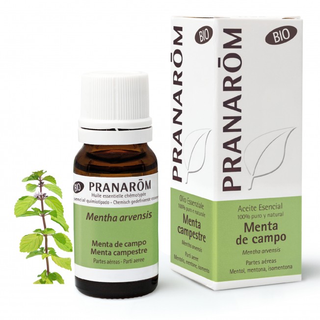 Pranarom Bio Field Óleo de Hortelã, 10ml.