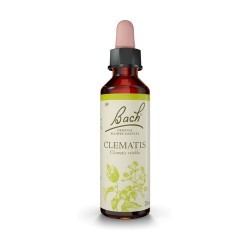 Clematis Bach Flor 20 ml