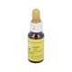 Solaray Oil Oregan 150 mg - 60 perlas