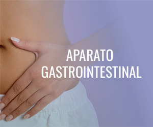 Sistema gastrointestinal