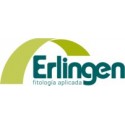 Erlingen